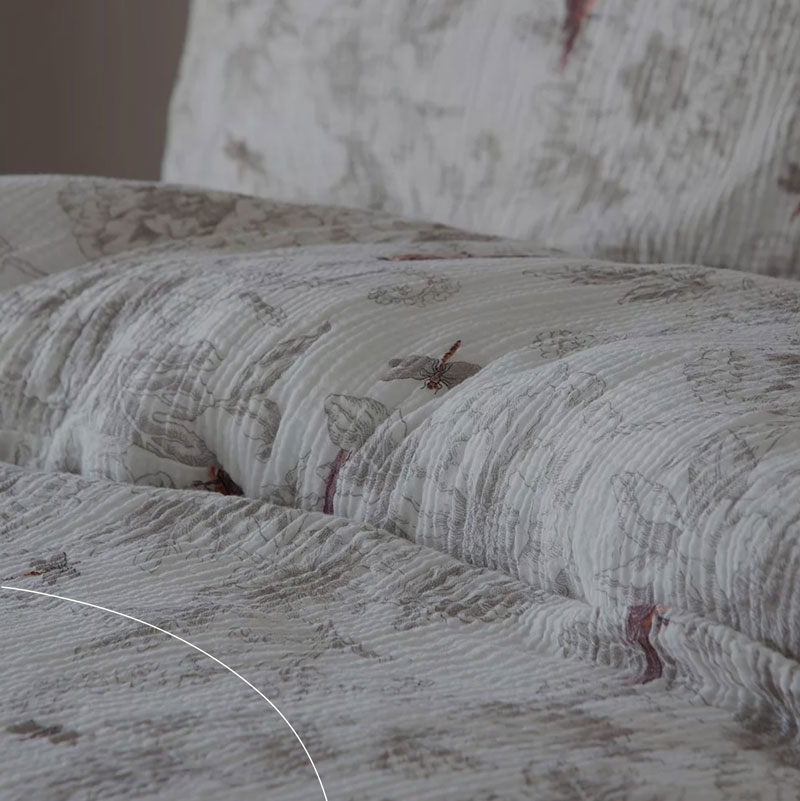 Colecci&oacute;n Iconic